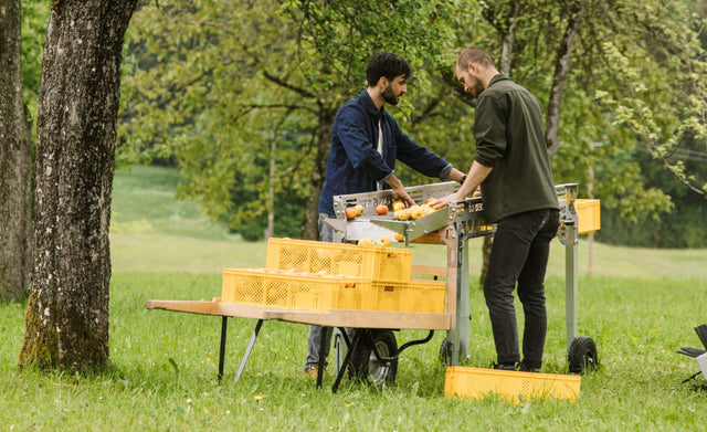 THE FRUIT HARVEST - OBSTRAUPE