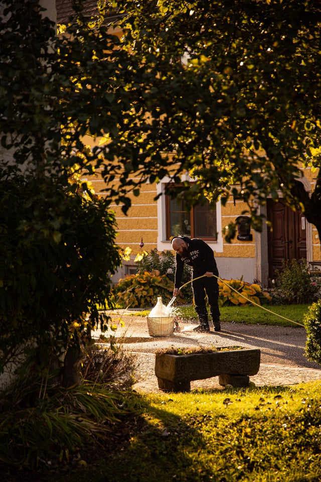 THE ART OF MAKING GREAT CIDER WITH GROUND HARVESTED APPLES - Organic Tools US Shop