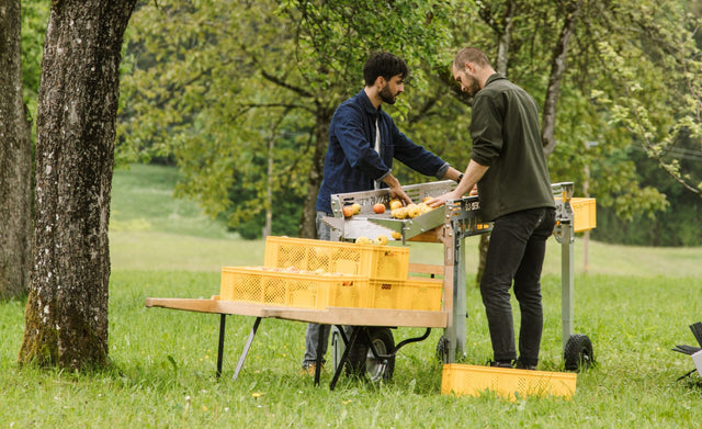 THE FRUIT HARVEST - OBSTRAUPE