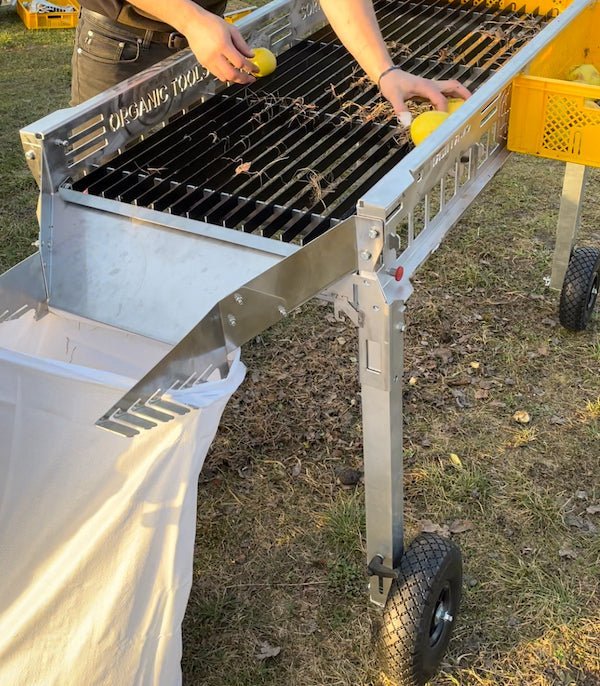 SORTER 2 Sorting Table - Organic Tools US Shop